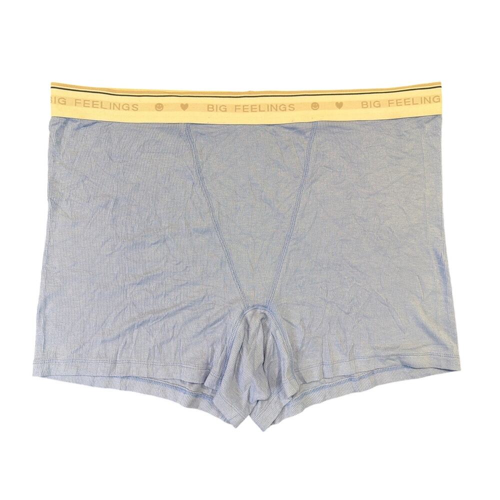 NWOT Big Feelings Ribbed Boxer Briefs, Light Blue, Unisex Size XXL